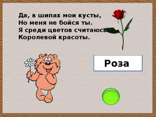 Да, в шипах мои кусты, Но меня не бойся ты. Я среди цветов считаюсь Королевой красоты. Роза