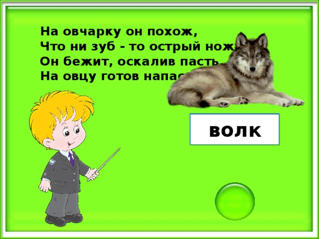 На овчарку он похож, Что ни зуб - то острый нож! Он бежит, оскалив пасть, На овцу готов напасть. волк