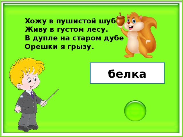 Хожу в пушистой шубе, Живу в густом лесу. В дупле на старом дубе Орешки я грызу. белка