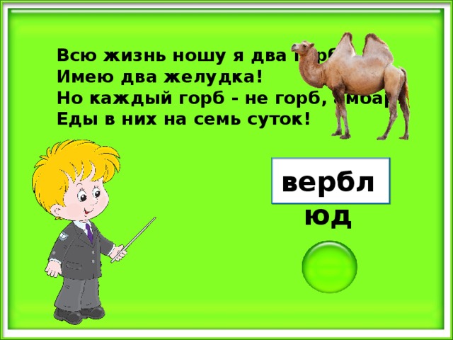 Всю жизнь ношу я два горба, Имею два желудка! Но каждый горб - не горб, амбар! Еды в них на семь суток! верблюд