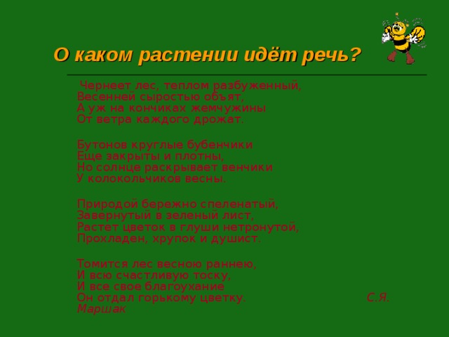 О каком растении идёт речь?   Чернеет лес, теплом разбуженный,  Весенней сыростью объят,  А уж на кончиках жемчужины  От ветра каждого дрожат.  Бутонов круглые бубенчики  Еще закрыты и плотны,  Но солнце раскрывает венчики  У колокольчиков весны.  Природой бережно спеленатый,  Завернутый в зеленый лист,  Растет цветок в глуши нетронутой,  Прохладен, хрупок и душист.  Томится лес весною раннею,  И всю счастливую тоску,  И все свое благоухание  Он отдал горькому цветку. С.Я. Маршак