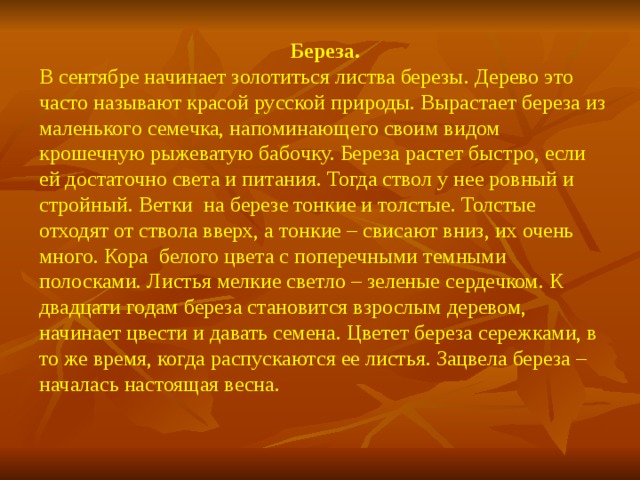 Береза. В сентябре начинает золотиться листва березы. Дерево это часто называют красой русской природы. Вырастает береза из маленького семечка, напоминающего своим видом крошечную рыжеватую бабочку. Береза растет быстро, если ей достаточно света и питания. Тогда ствол у нее ровный и стройный. Ветки на березе тонкие и толстые. Толстые отходят от ствола вверх, а тонкие – свисают вниз, их очень много. Кора белого цвета с поперечными темными полосками. Листья мелкие светло – зеленые сердечком. К двадцати годам береза становится взрослым деревом, начинает цвести и давать семена. Цветет береза сережками, в то же время, когда распускаются ее листья. Зацвела береза – началась настоящая весна.