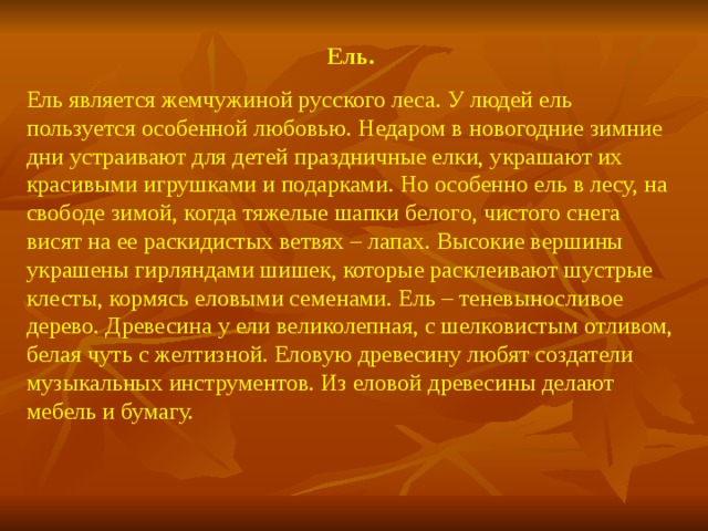 Ель. Ель является жемчужиной русского леса. У людей ель пользуется особенной любовью. Недаром в новогодние зимние дни устраивают для детей праздничные елки, украшают их красивыми игрушками и подарками. Но особенно ель в лесу, на свободе зимой, когда тяжелые шапки белого, чистого снега висят на ее раскидистых ветвях – лапах. Высокие вершины украшены гирляндами шишек, которые расклеивают шустрые клесты, кормясь еловыми семенами. Ель – теневыносливое дерево. Древесина у ели великолепная, с шелковистым отливом, белая чуть с желтизной. Еловую древесину любят создатели музыкальных инструментов. Из еловой древесины делают мебель и бумагу.