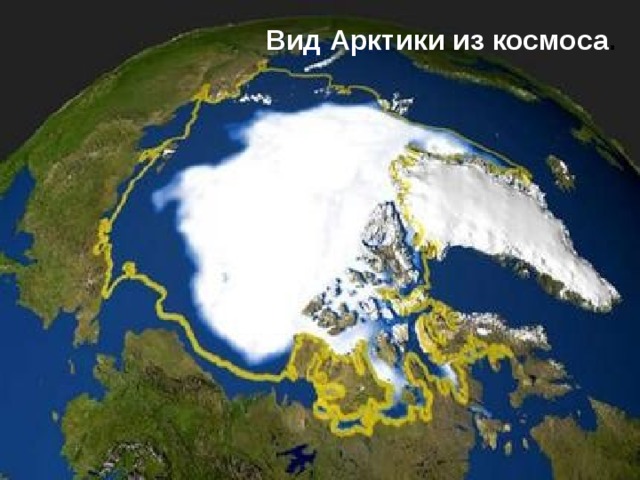 Вид Арктики из космоса .
