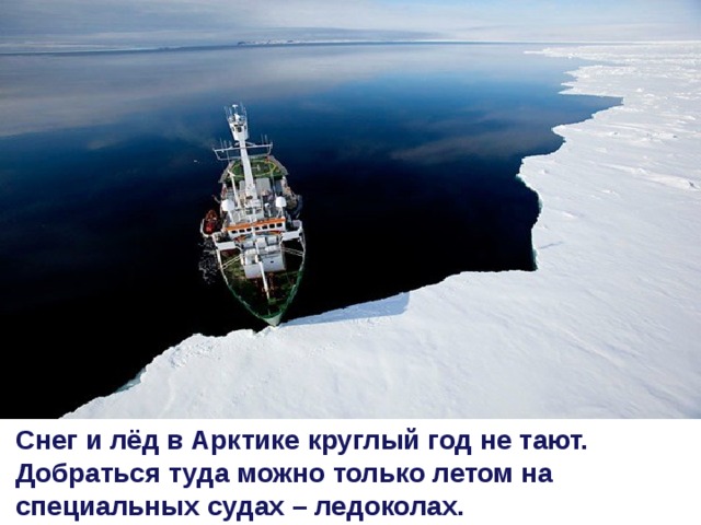 Снег и лёд в Арктике круглый год не тают. Добраться туда можно только летом на специальных судах – ледоколах.