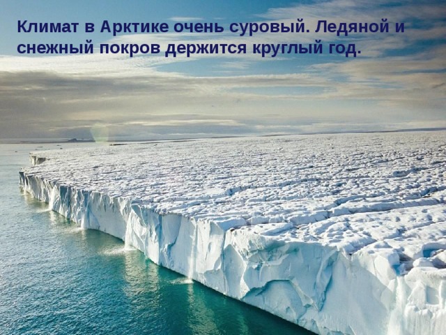 Климат в Арктике очень суровый. Ледяной и снежный покров держится круглый год.