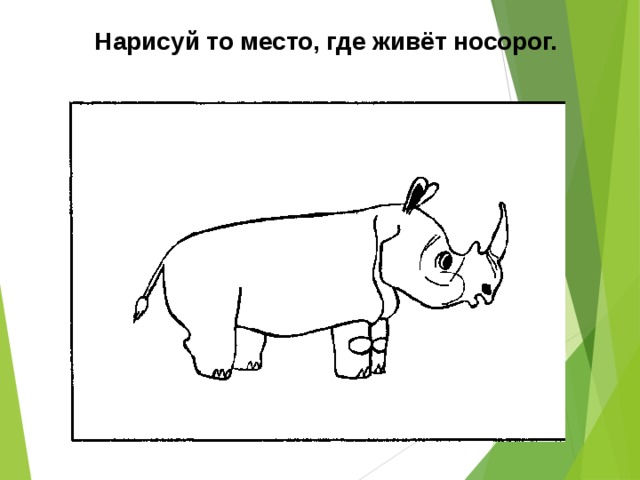 Нарисуй то место, где живёт носорог.