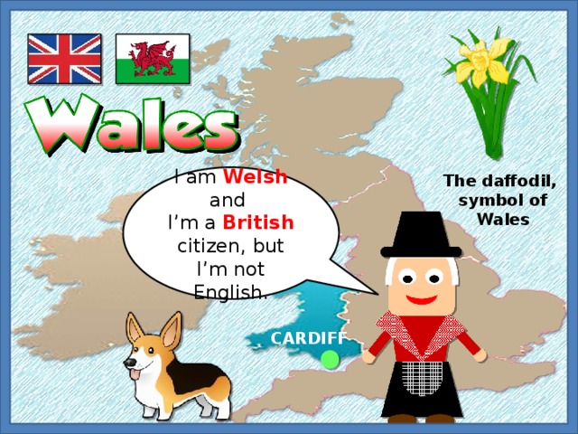 I am Welsh and The daffodil, I’m a British citizen, but I’m not English. symbol of Wales CARDIFF