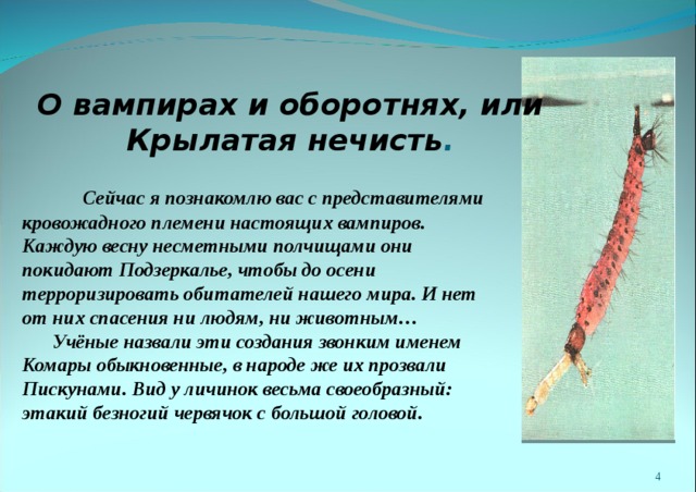 О вампирах и оборотнях, или Крылатая нечисть .    Сейчас я познакомлю вас с представителями кровожадного племени настоящих вампиров. Каждую весну несметными полчищами они покидают Подзеркалье, чтобы до осени терроризировать обитателей нашего мира. И нет от них спасения ни людям, ни животным…  Учёные назвали эти создания звонким именем Комары обыкновенные, в народе же их прозвали Пискунами. Вид у личинок весьма своеобразный: этакий безногий червячок с большой головой.