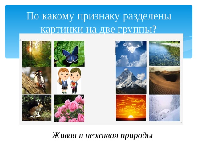 По какому признаку разделены картинки на две группы? Живая и неживая природы