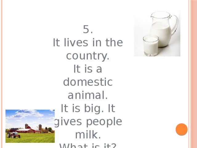 5. It lives in the country. It is a domestic animal. It is big. It gives people milk. What is it?