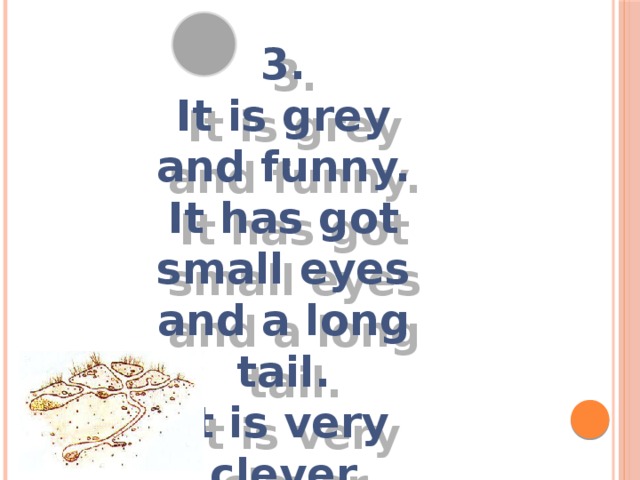 3. It is grey and funny. It has got small eyes and a long tail. It is very clever