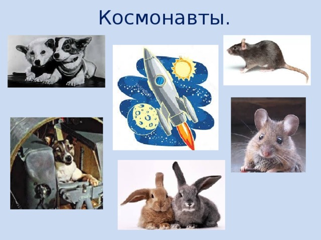 Космонавты.