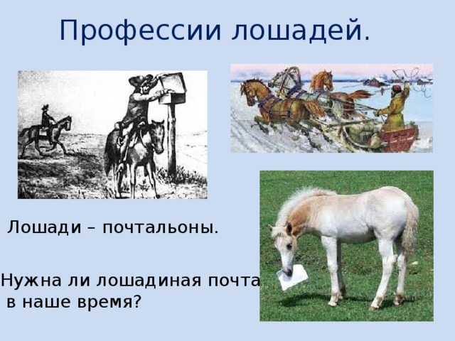 Профессии лошадей. Лошади – почтальоны. Нужна ли лошадиная почта  в наше время?