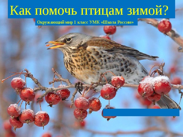 Как помочь птицам зимой? Окружающий мир 1 класс УМК «Школа России» Как помочь птицам зимой? Подзаголовок слайда