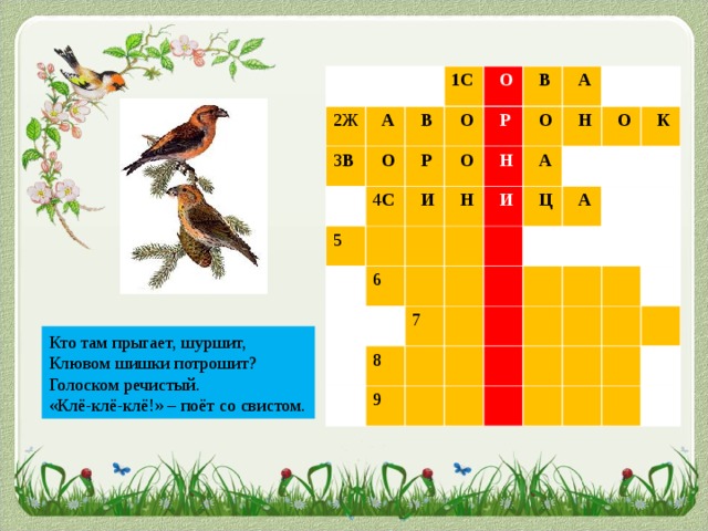 2Ж 3 В  А 1С  В  О  О 4 С  О  Р 5  В  О  И  Р  А  Н  О  Н 6  И  А  Н  Ц  О 7 8  К  А 9 Кто там прыгает, шуршит, Клювом шишки потрошит? Голоском речистый. «Клё-клё-клё!» – поёт со свистом.   К Л Ё С Т