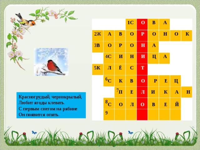 2Ж 3 В  А 1С  В  О  О  О 5 К  Р 4 С  В  Р  О  Л   И  А  О 6  Ё  Н   Н  С  И  Н  А  О  Т 7 8  Ц  А  К 9  С К В О Р Е Ц  П Е Л И К А Н Красногрудый, чернокрылый, Любит ягоды клевать. С первым снегом на рябине Он появится опять.  С О Л О В Е Й  С Н Е Г И Р Ь
