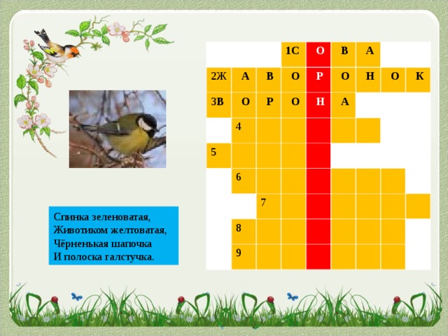 2Ж 3 В  А 1С  В  О  О 5 4  Р  О  В  Р  О  А 6  О  Н  Н  А  О 7 8  К 9 Спинка зеленоватая, Животиком желтоватая, Чёрненькая шапочка И полоска галстучка.   С И Н И Ц А