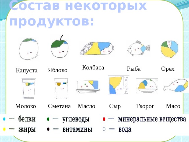 Состав некоторых продуктов: Колбаса Рыба Орех Яблоко Капуста Молоко Сметана Масло Творог Сыр Мясо