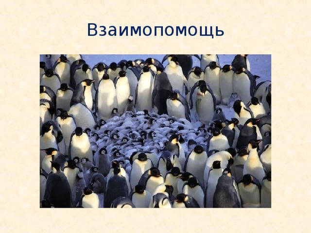 Взаимопомощь