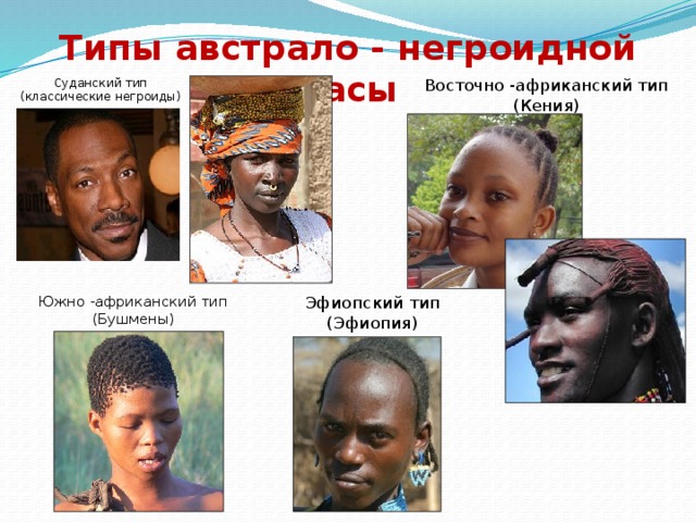 Типы австрало - негроидной расы Восточно -африканский тип  (Кения) Суданский тип  (классические негроиды) Южно -африканский тип  (Бушмены) Эфиопский тип  (Эфиопия)