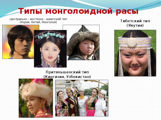 Типы монголоидной расы Центрально – восточно - азиатский тип  (Корея, Китай, Монголия) Тибетский тип  (Якутия) Притяньшанский тип  (Киргизия, Узбекистан)