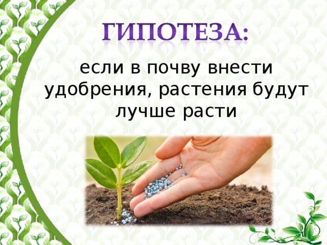 если в почву внести удобрения, растения будут лучше расти