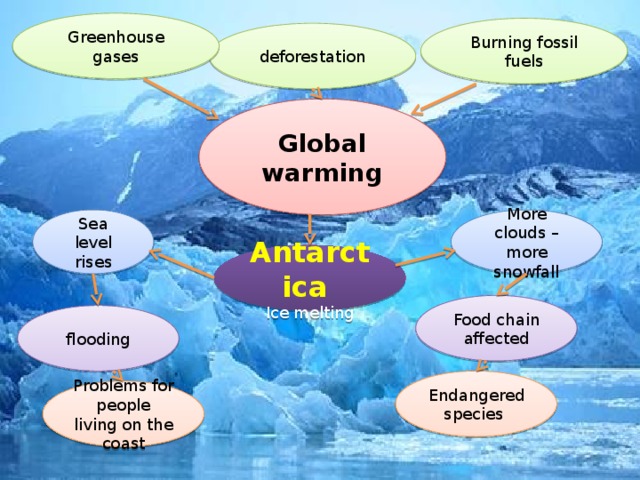 Greenhouse gases Burning fossil fuels deforestation Global warming Sea level rises More clouds – more snowfall Antarctica Ice melting Food chain affected Cluster Spotlight 9класс стр.134 упр.3 flooding Endangered species Problems for people living on the coast