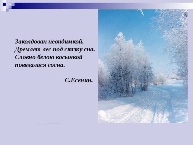 Заколдован невидимкой,  Дремлет лес под сказку сна.  Словно белою косынкой  повязалася сосна.    С.Есенин.    Учитель МОУ СОШ №12 г Энгельс Завалищина Светлана Анатольевна