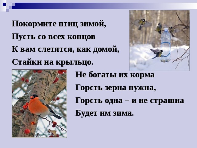 Покормите птиц зимой, Пусть со всех концов К вам слетятся, как домой, Стайки на крыльцо.  Не богаты их корма  Горсть зерна нужна,  Горсть одна – и не страшна  Будет им зима.