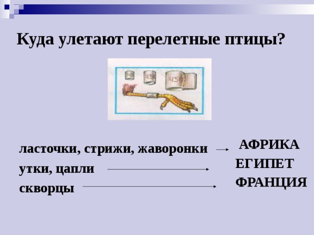 Куда улетают перелетные птицы?  АФРИКА ЕГИПЕТ ФРАНЦИЯ ласточки, стрижи, жаворонки утки, цапли  скворцы