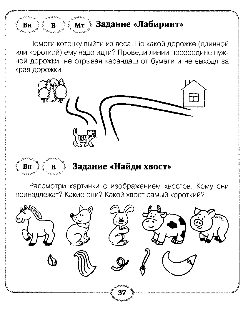 Овз 5 класс занятие