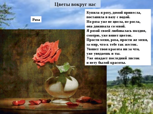 Купила я розу, домой принесла, поставила в вазу с водой. Но роза уже не цвела, не росла, она доживала со мной. Я розой своей любовалась полдня, смотрю, уже вянет цветок. Прости меня, роза, прости же меня, за мир, что к тебе так жесток. Увянет твоя красота ни за что, уже увядаешь и ты. Уже опадает последний листок и нету былой красоты. Роза