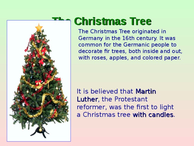 The Christmas Tree    The Christmas Tree originated in Germany in the 16th century. It was common for the Germanic people to decorate fir trees, both inside and out, with roses, apples, and colored paper. It is believed that Martin Luther , the Protestant reformer, was the first to light a Christmas tree with candles .