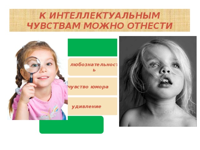 К интеллектуальным чувствам можно отнести любознательность чувство юмора удивление