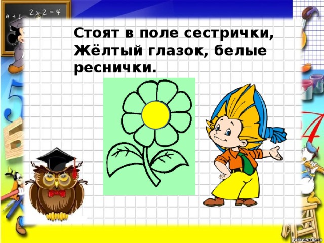Стоят в поле сестрички, Жёлтый глазок, белые реснички.