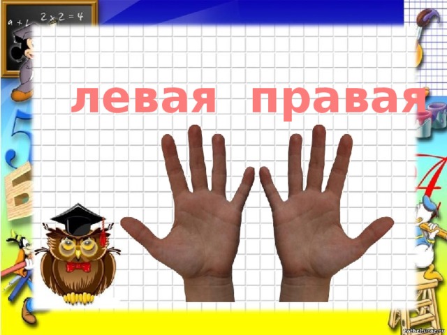правая левая