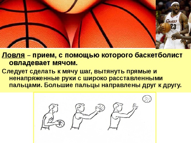 Ловля  – прием, с помощью которого баскетболист овладевает мячом. Следует сделать к мячу шаг, вытянуть прямые и ненапряженные руки с широко расставленными пальцами. Большие пальцы направлены друг к другу.