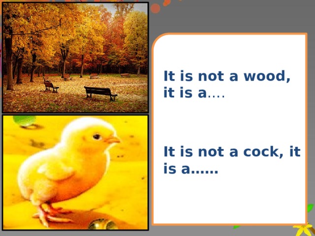 It is not a wood, it is a …. It is not a cock, it is a……