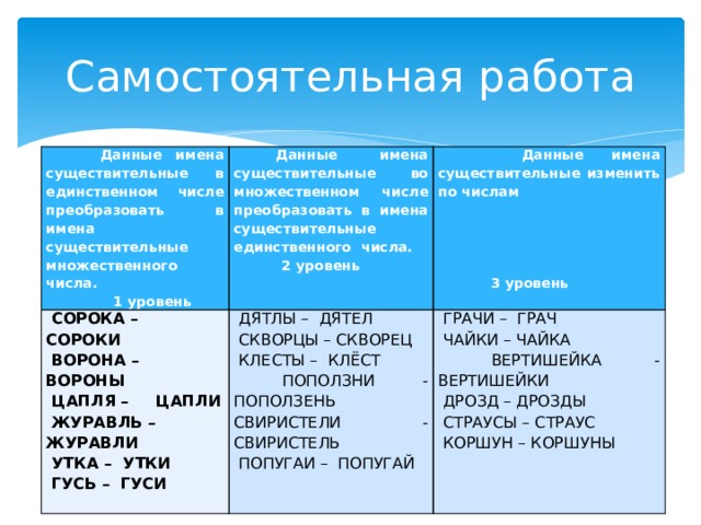 Самостоятельная работа  Данные имена существительные в единственном числе преобразовать в имена существительные множественного числа.  1 уровень  Данные имена существительные во множественном числе преобразовать в имена существительные единственного числа.  СОРОКА – СОРОКИ  2 уровень  Данные имена существительные изменить по числам  ВОРОНА – ВОРОНЫ  ДЯТЛЫ – ДЯТЕЛ  СКВОРЦЫ – СКВОРЕЦ    ЦАПЛЯ – ЦАПЛИ  ГРАЧИ – ГРАЧ  ЖУРАВЛЬ – ЖУРАВЛИ  ЧАЙКИ – ЧАЙКА    КЛЕСТЫ – КЛЁСТ   ПОПОЛЗНИ - ПОПОЛЗЕНЬ  ВЕРТИШЕЙКА - ВЕРТИШЕЙКИ  УТКА – УТКИ  ДРОЗД – ДРОЗДЫ  ГУСЬ – ГУСИ СВИРИСТЕЛИ - СВИРИСТЕЛЬ    ПОПУГАИ – ПОПУГАЙ  3 уровень    СТРАУСЫ – СТРАУС    КОРШУН – КОРШУНЫ  