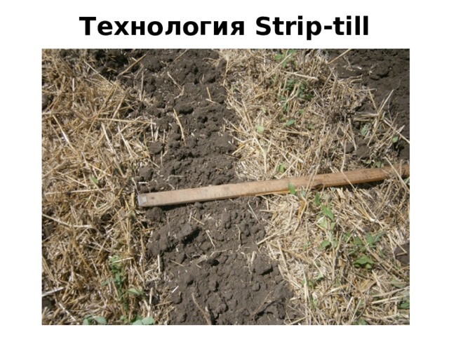 Технология Strip-till