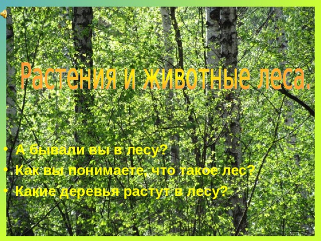 А бывали вы в лесу? Как вы понимаете, что такое лес? Какие деревья растут в лесу?