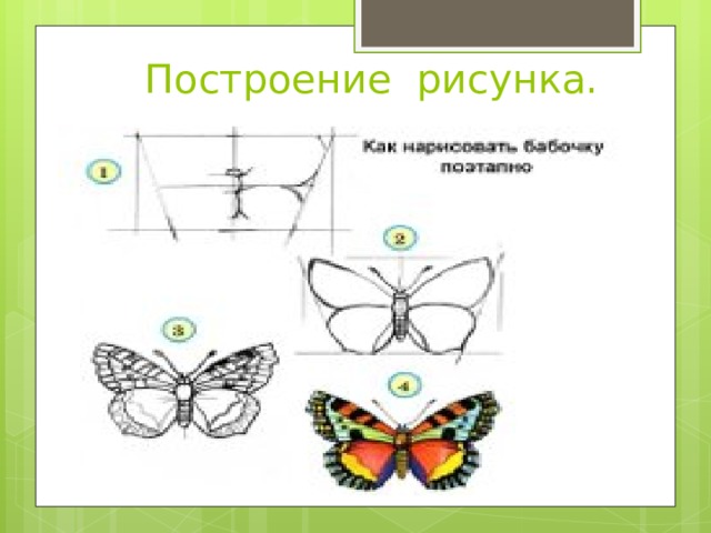 Построение рисунка.