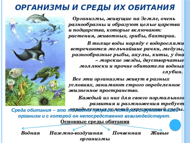 Живое описание. Среда обитания другой организм. Среды обитания организмов. Воздействие водной среды на организм. Виды сред обитания живых организмов.