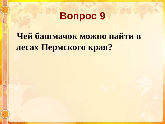 Вопрос 9  Чей башмачок можно найти в лесах Пермского края?