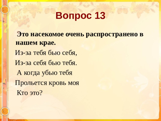 Вопрос 13  Это насекомое очень распространено в нашем крае.  Из-за тебя бью себя,  Из-за себя бью тебя.  А когда убью тебя  Прольется кровь моя  Кто это?