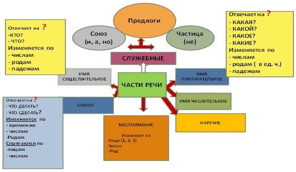 Интеллект карта школа