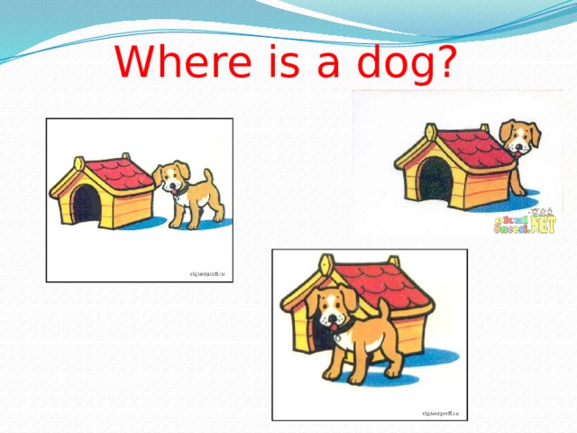 Where is a dog?