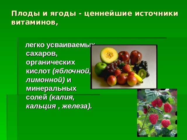 Плоды и ягоды - ценнейшие источники  витаминов,  легко усваиваемых сахаров, органических кислот (яблочной, лимонной) и минеральных солей (калия, кальция , железа).