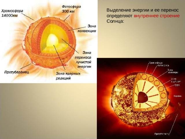 Выделение энергии и ее перенос определяют внутреннее строение Солнца: Каждая из этих зон занимает примерно 1/3 солнечного радиуса.